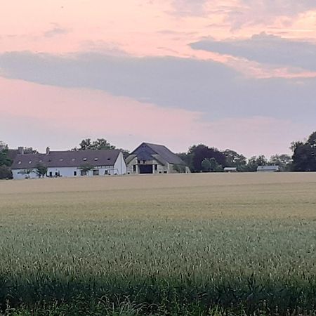 Gite Et Chambre D'Hotes Du Guillot Sainte-Solange Exteriör bild